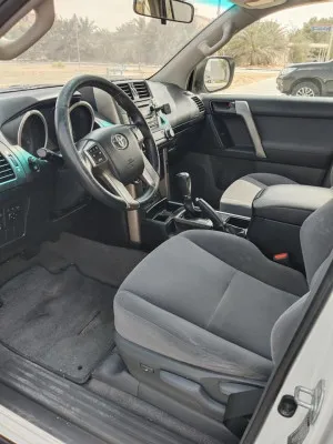 2013 Toyota Prado