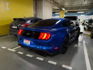 2019 Ford Mustang