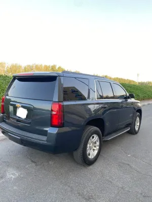 2019 Chevrolet Tahoe