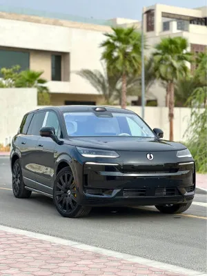 2025 BYD Denza