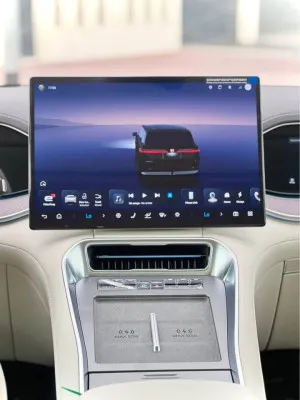 2025 BYD Denza