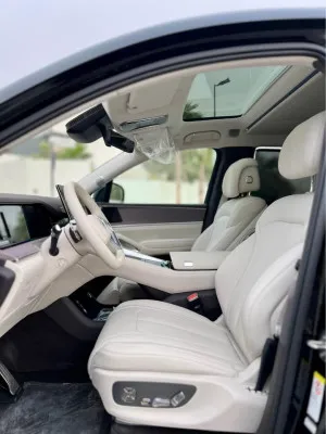 2025 BYD Denza
