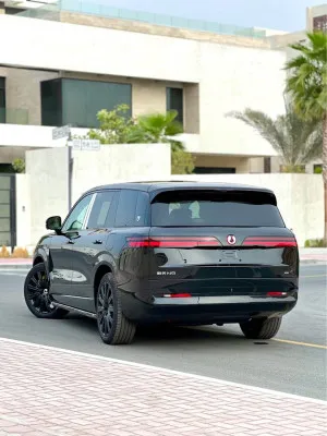 2025 BYD Denza