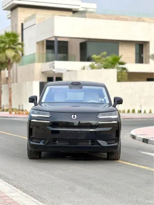2025 BYD Denza