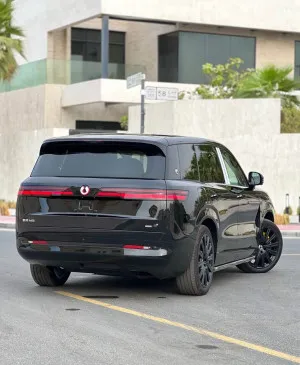 2025 BYD Denza