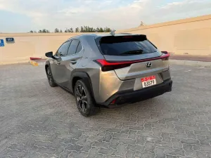 2020 Lexus UX