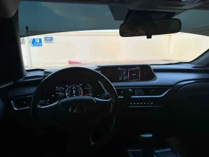 2020 Lexus UX