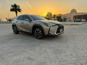 2020 Lexus UX