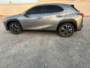 2020 Lexus UX