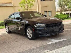 2019 Dodge Charger in dubai