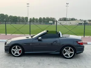 2014 Mercedes-Benz SLK