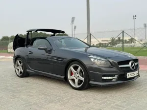 2014 Mercedes-Benz SLK