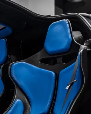 2019 McLaren SENNA