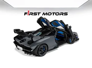 2019 McLaren SENNA