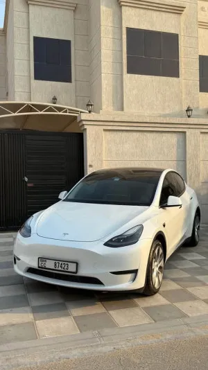 2023 Tesla Model Y in dubai