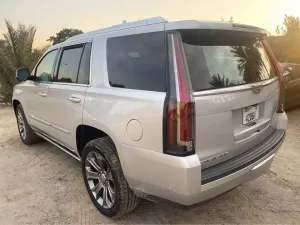 2019 كاديلاك اسكاليد