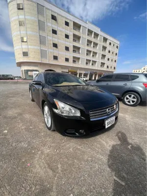 2010 Nissan Maxima