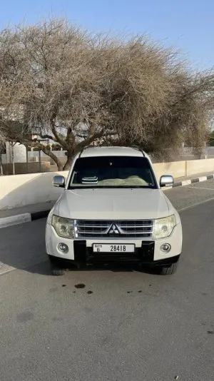 2010 Mitsubishi Pajero