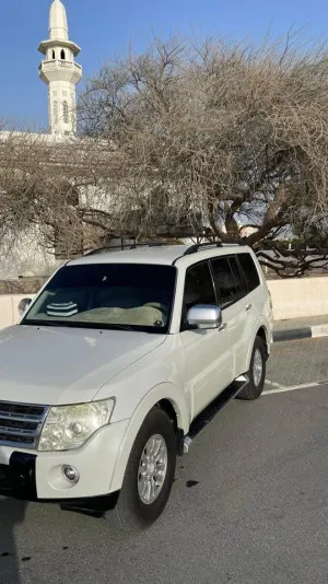 2010 Mitsubishi Pajero