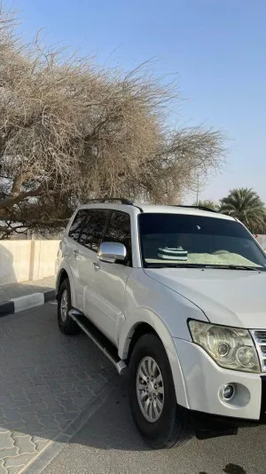 2010 Mitsubishi Pajero