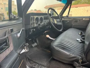 1975 Chevrolet Silverado