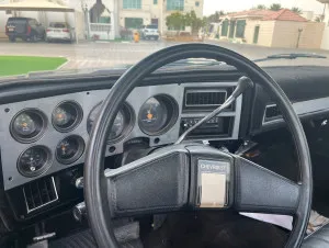 1975 Chevrolet Silverado