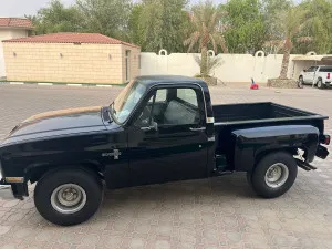 1975 Chevrolet Silverado