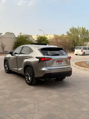 2016 Lexus NX