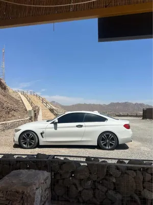 2014 BMW 4-Series