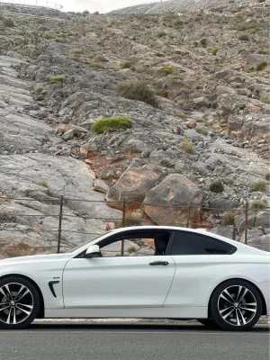 2014 BMW 4-Series