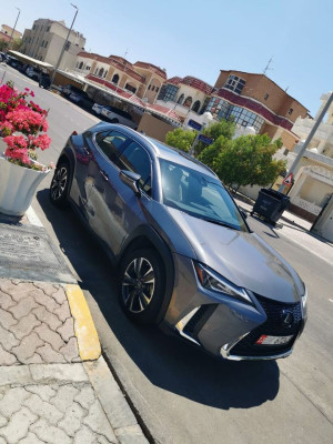 2019 Lexus UX in dubai
