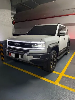2024 بي واي دي ليوبارد in dubai
