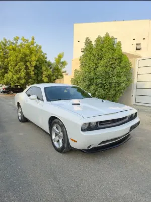 2014 Dodge Challenger in dubai