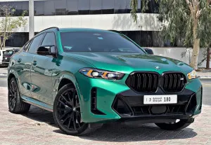 2024 BMW X6