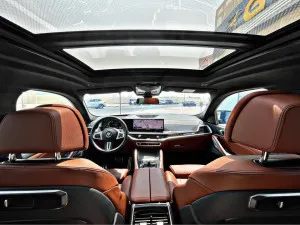2024 BMW X6