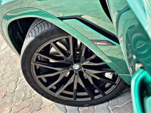 2024 BMW X6