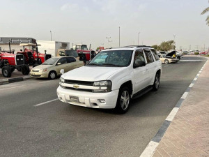 2009 Chevrolet Trailblazer in dubai