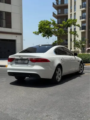 2018 جاكوار اكس اف