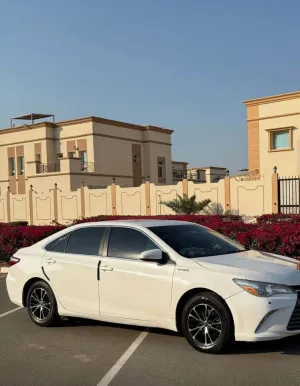 2014 Toyota Camry in dubai