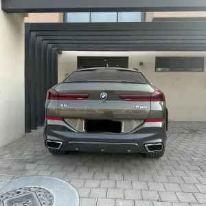 2020 BMW X6