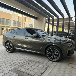 2020 BMW X6