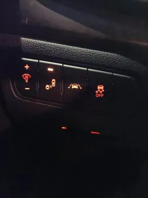 2014 Kia Cadenza