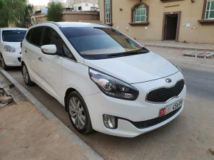 2014 Kia Carens