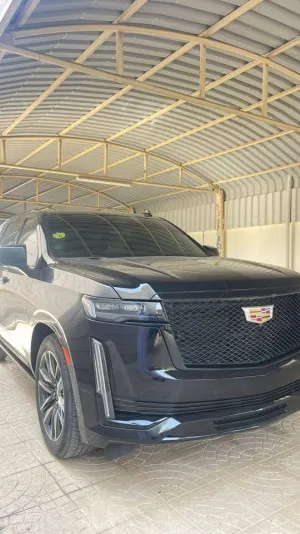 2023 كاديلاك اسكاليد in dubai
