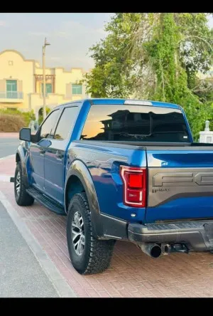 2018 Ford Raptor