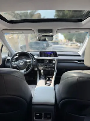 2019 Lexus RX