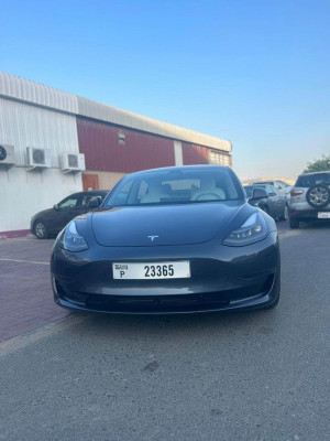 2023 Tesla MODEL 3 in dubai