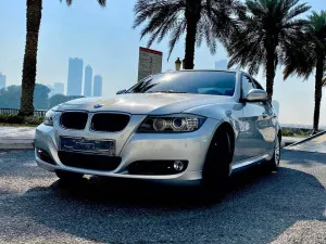 2010 BMW 3-Series