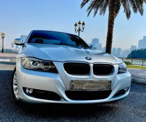 2010 BMW 3-Series
