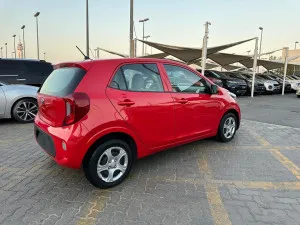 2019 Kia Picanto